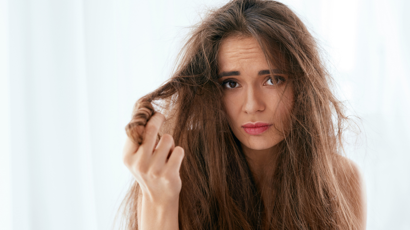 Split ends and damaged hair close-up